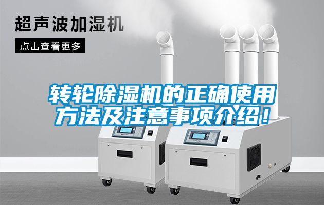 转轮粉色视频免费在线观看的正确使用方法及注意事项介绍！