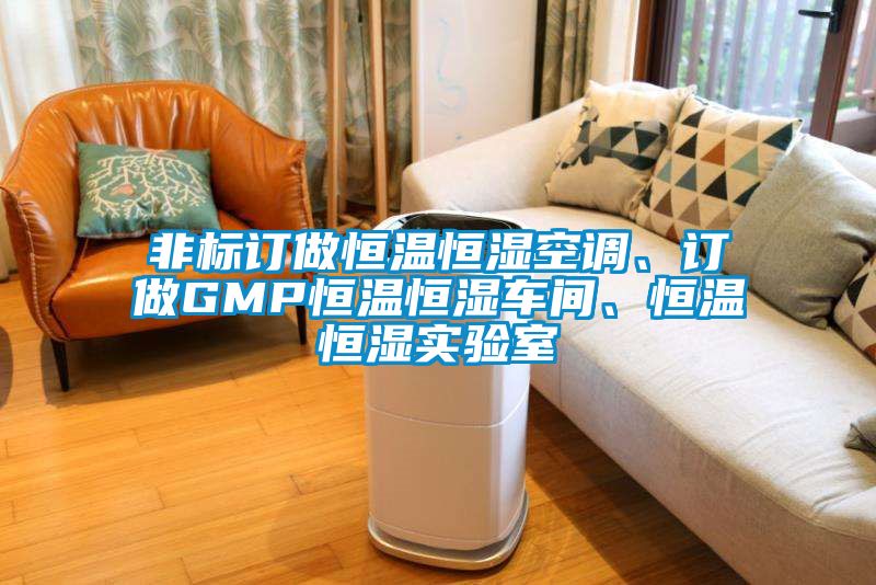 非标订做恒温恒湿空调、订做GMP恒温恒湿车间、恒温恒湿实验室