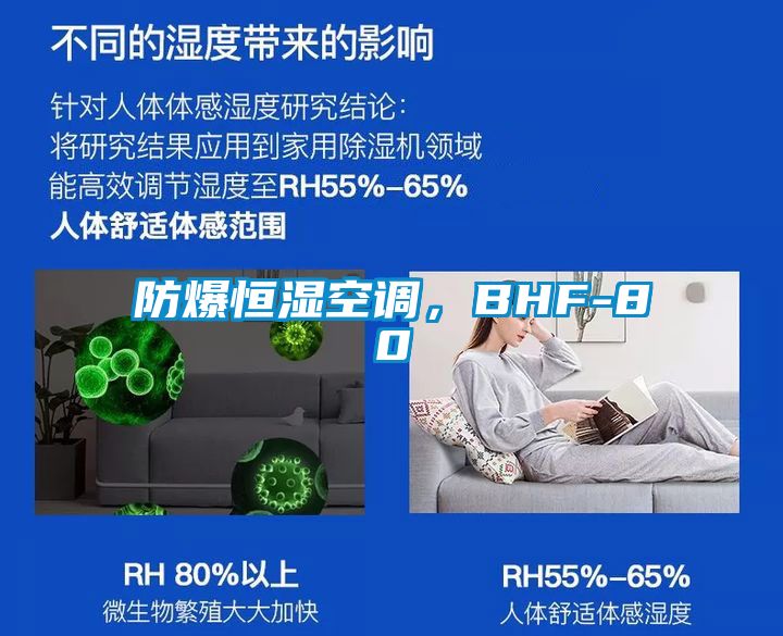 防爆恒湿空调，BHF-80
