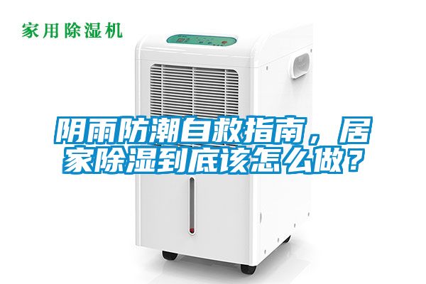 阴雨防潮自救指南，居家除湿到底该怎么做？