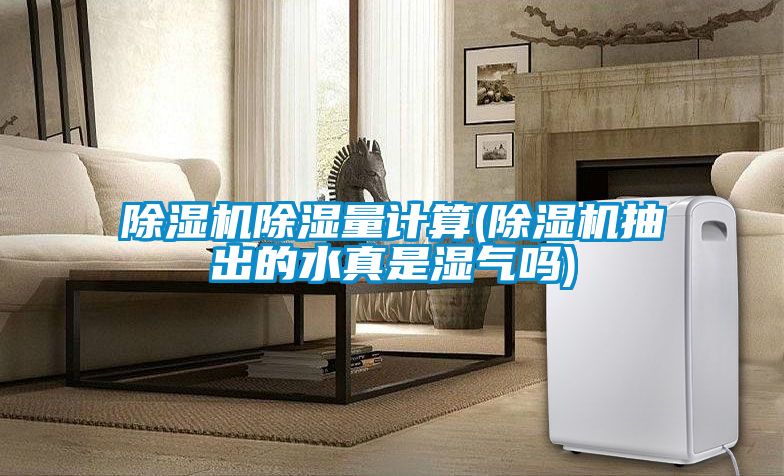 粉色视频免费在线观看除湿量计算(粉色视频免费在线观看抽出的水真是湿气吗)