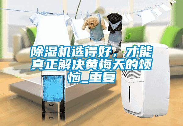 粉色视频免费在线观看选得好，才能真正解决黄梅天的烦恼_重复