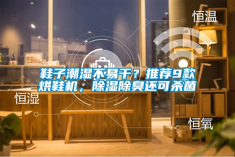 鞋子潮湿不易干？推荐9款烘鞋机，除湿除臭还可杀菌