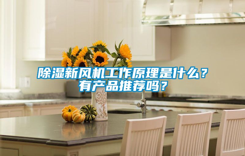 除湿新风机工作原理是什么？有产品推荐吗？