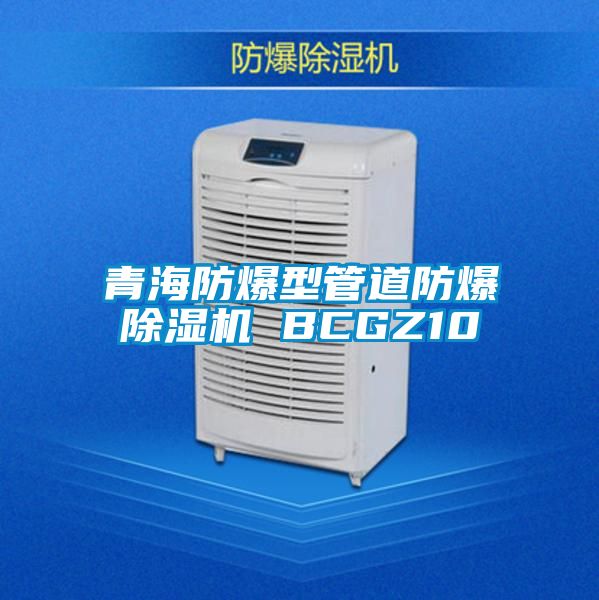 青海防爆型管道防爆粉色视频免费在线观看 BCGZ10