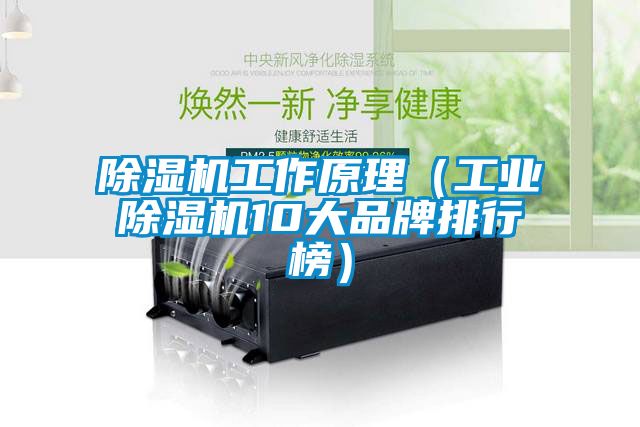 粉色视频免费在线观看工作原理（工业粉色视频免费在线观看10大品牌排行榜）