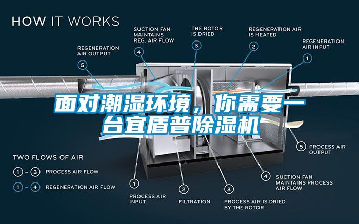 面对潮湿环境，你需要一台宜盾普粉色视频免费在线观看