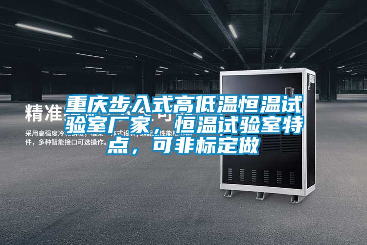重庆步入式高低温恒温试验室厂家，恒温试验室特点，可非标定做