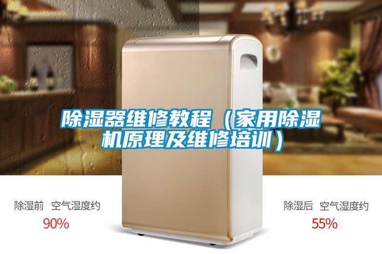 除湿器维修教程（家用粉色视频免费在线观看原理及维修培训）