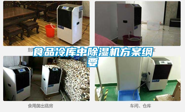 食品冷库中粉色视频免费在线观看方案纲要