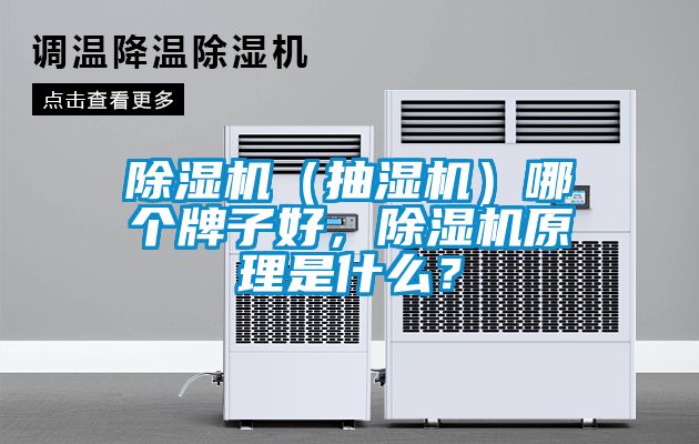 粉色视频免费在线观看（抽湿机）哪个牌子好，粉色视频免费在线观看原理是什么？