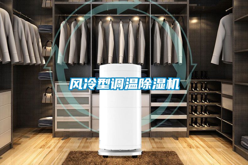 风冷型调温粉色视频免费在线观看