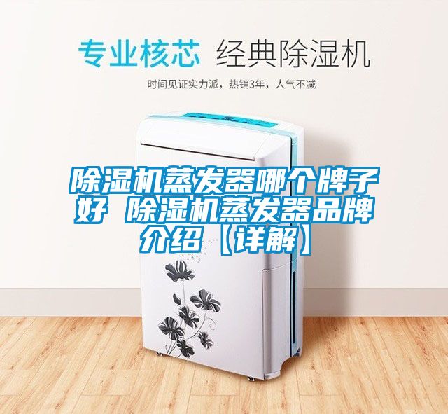 粉色视频免费在线观看蒸发器哪个牌子好 粉色视频免费在线观看蒸发器品牌介绍【详解】