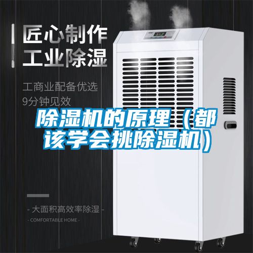粉色视频免费在线观看的原理（都该学会挑粉色视频免费在线观看）