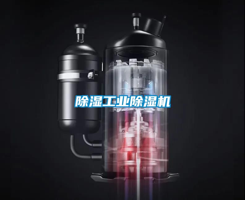 除湿工业粉色视频免费在线观看