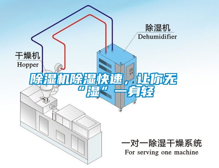粉色视频免费在线观看除湿快速，让你无“湿”一身轻