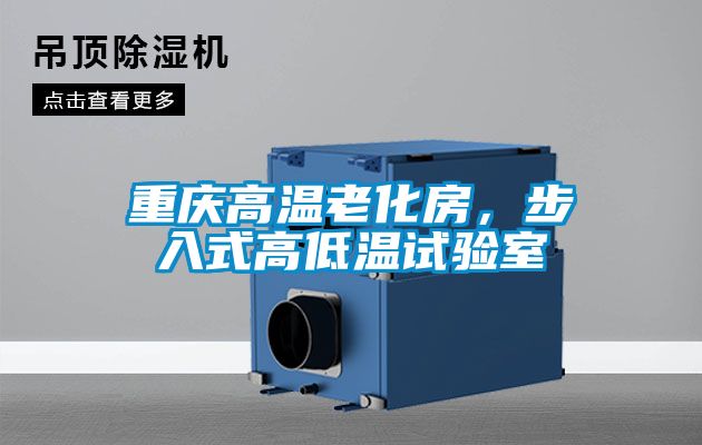 重庆高温老化房，步入式高低温试验室