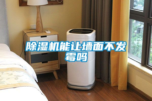粉色视频免费在线观看能让墙面不发霉吗