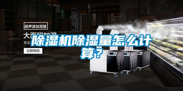 粉色视频免费在线观看除湿量怎么计算？