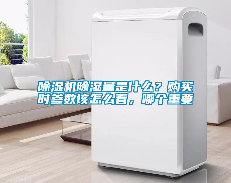粉色视频免费在线观看除湿量是什么？购买时参数该怎么看，哪个重要