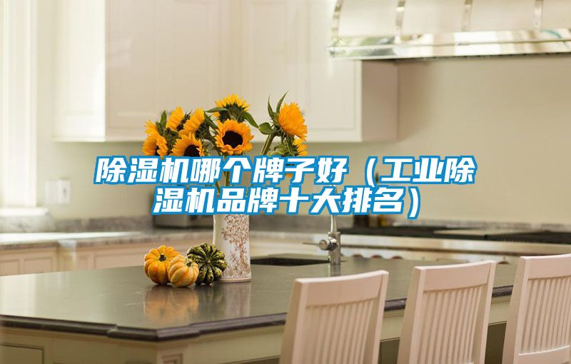 粉色视频免费在线观看哪个牌子好（工业粉色视频免费在线观看品牌十大排名）