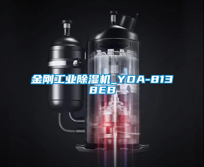 金刚工业粉色视频免费在线观看_YDA-8138EB
