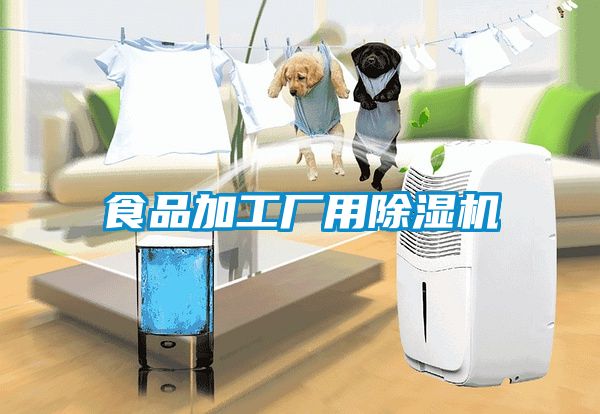 食品加工厂用粉色视频免费在线观看