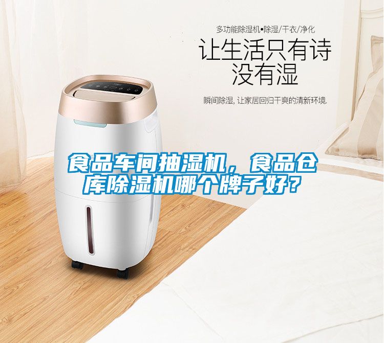 食品车间抽湿机，食品仓库粉色视频免费在线观看哪个牌子好？