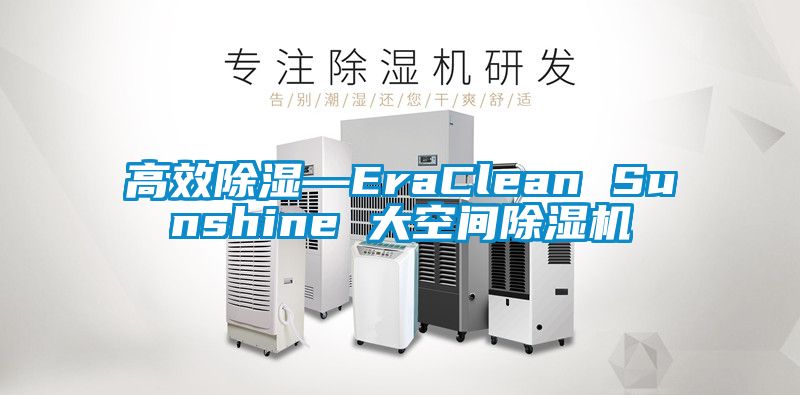 高效除湿—EraClean Sunshine 大空间粉色视频免费在线观看