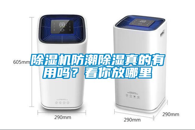 粉色视频免费在线观看防潮除湿真的有用吗？看你放哪里