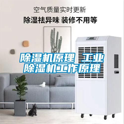 粉色视频免费在线观看原理 工业粉色视频免费在线观看工作原理