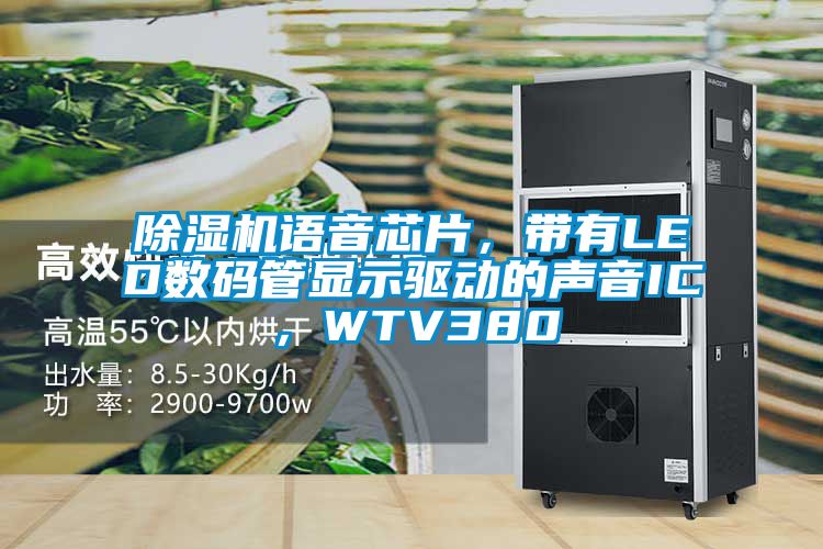 粉色视频免费在线观看语音芯片，带有LED数码管显示驱动的声音IC，WTV380