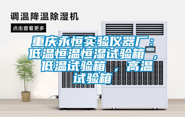 重庆永恒实验仪器厂：低温恒温恒湿试验箱 , 低温试验箱 , 高温试验箱
