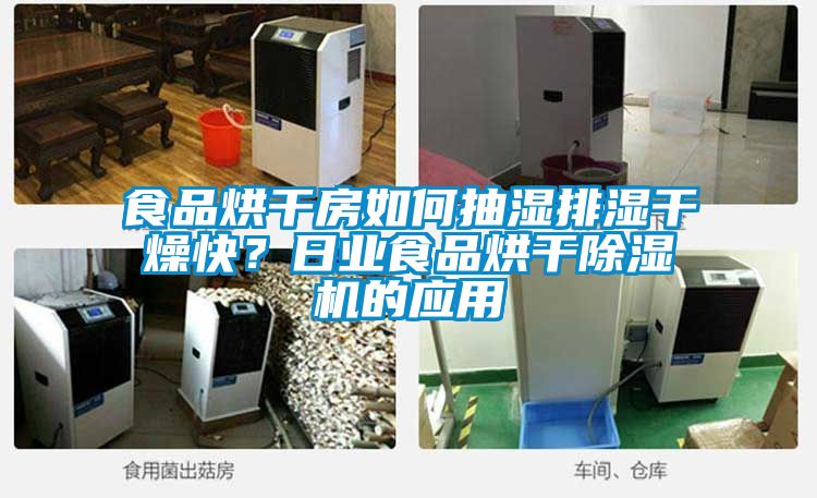 食品烘干房如何抽湿排湿干燥快？日业食品烘干粉色视频免费在线观看的应用