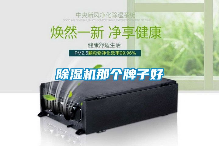 粉色视频免费在线观看那个牌子好