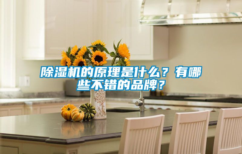 粉色视频免费在线观看的原理是什么？有哪些不错的品牌？