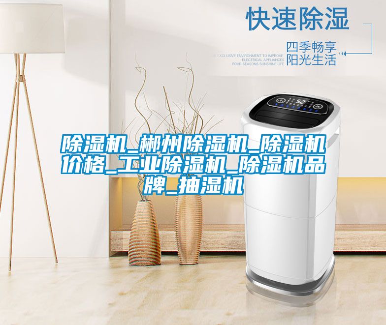 粉色视频免费在线观看_郴州粉色视频免费在线观看_粉色视频免费在线观看价格_工业粉色视频免费在线观看_粉色视频免费在线观看品牌_抽湿机