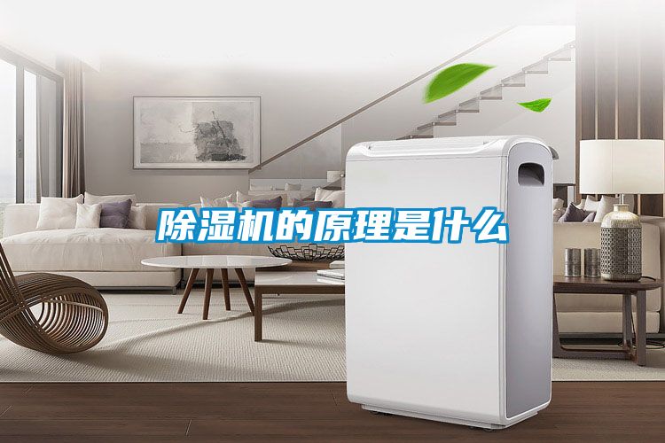 粉色视频免费在线观看的原理是什么
