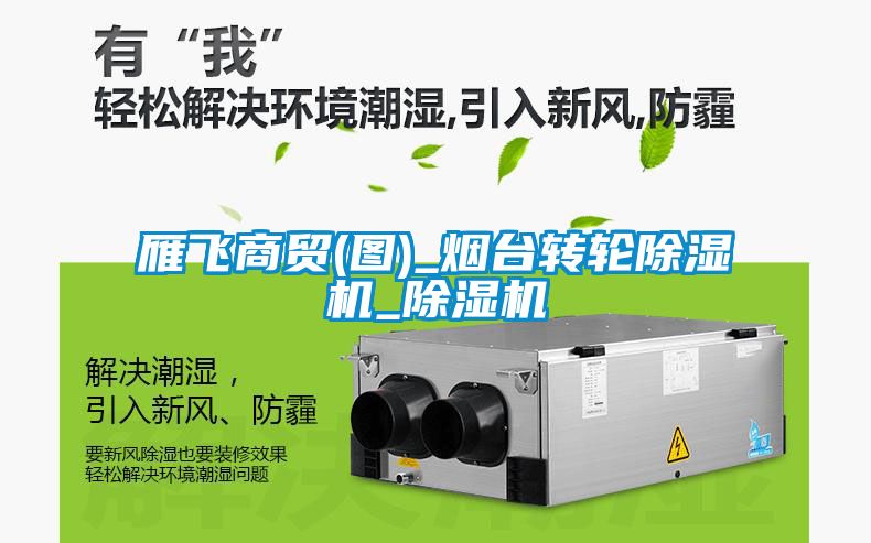 雁飞商贸(图)_烟台转轮粉色视频免费在线观看_粉色视频免费在线观看