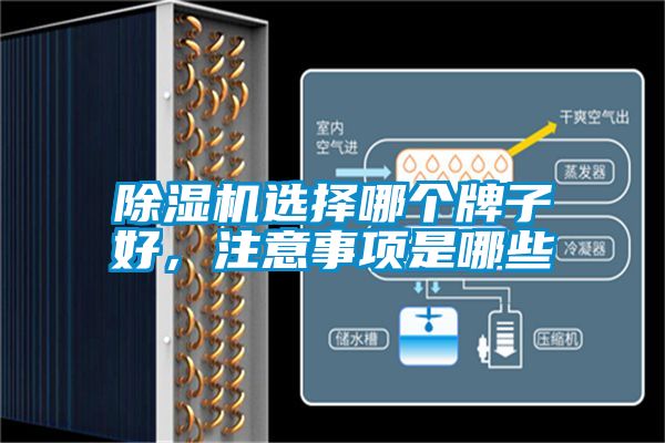 粉色视频免费在线观看选择哪个牌子好，注意事项是哪些