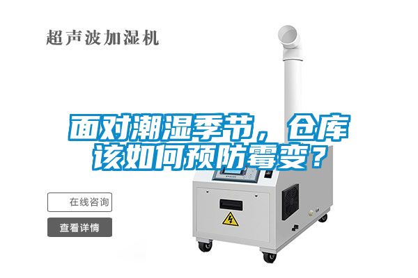 面对潮湿季节，仓库该如何预防霉变？