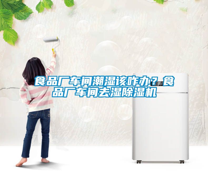 食品厂车间潮湿该咋办？食品厂车间去湿粉色视频免费在线观看