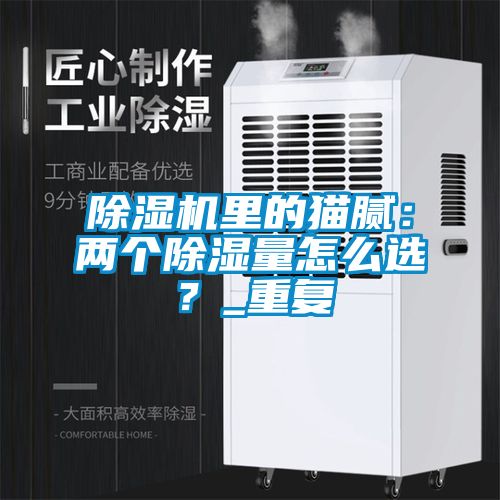 粉色视频免费在线观看里的猫腻：两个除湿量怎么选？_重复