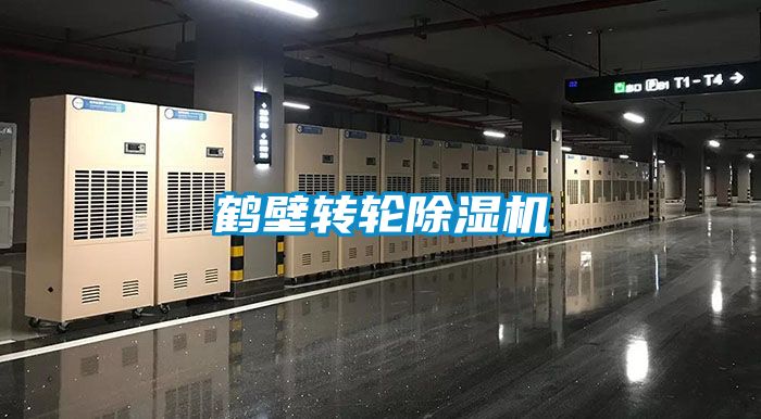 鹤壁转轮粉色视频免费在线观看