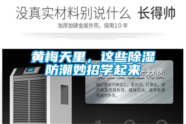 黄梅天里，这些除湿防潮妙招学起来