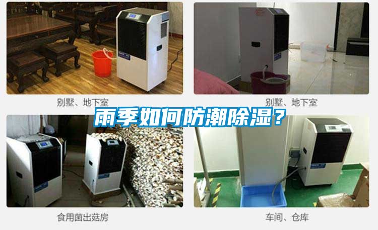 雨季如何防潮除湿？