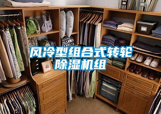 风冷型组合式转轮粉色视频免费在线观看组