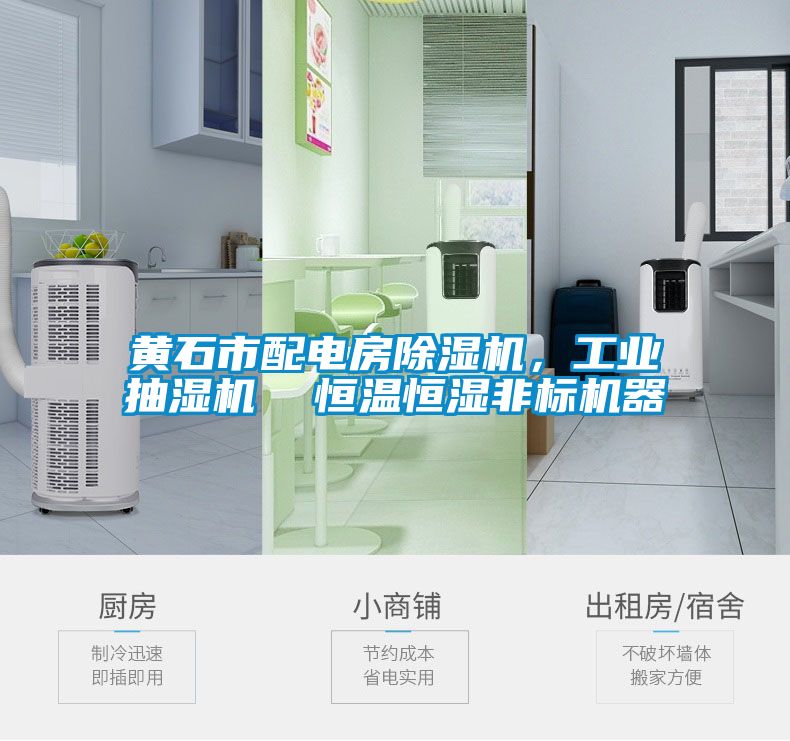 黄石市配电房粉色视频免费在线观看，工业抽湿机  恒温恒湿非标机器