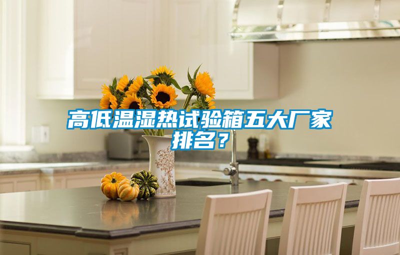 高低温湿热试验箱五大厂家排名？