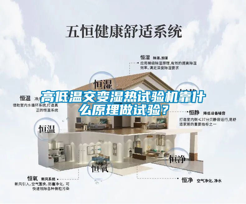 高低温交变湿热试验机靠什么原理做试验？